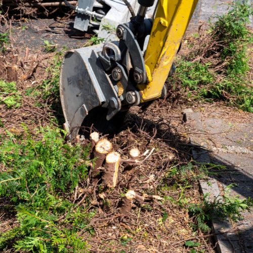 Tree Stump Removal Img